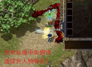 ����˽������ο�����������ȼ���