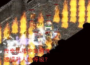 ����˽������ο�����������ȼ���