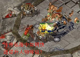 ����˽������ο�����������ȼ���