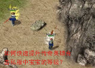 ��ο�����������Ӣ�ۺϻ�˽���б����ĵȼ���