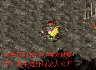 ����˽��IP�����ͻ��ƿ�������ֽ����ؾ��󹫿�