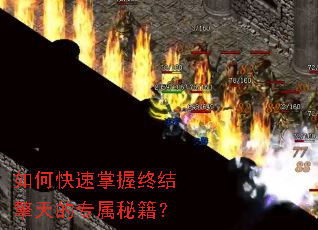 ��ο��������ս������ר���ؼ���