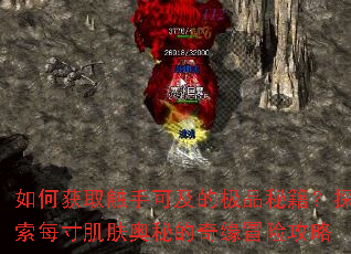 ��λ�ȡ���ֿɼ��ļ�Ʒ�ؼ���̽��ÿ�缡�����ص���Եð�չ���