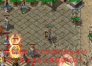 ���ֱؿ�����̬��Ѫ����˽��65535��ο�����������ȡ��װ��