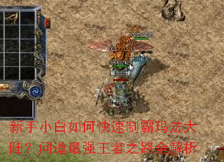 ����С����ο����ư��귨��½���ʵ���ǿ����֮·ȫ����