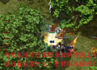 ����˽����̬��ְҵ��ο������֣���ս�ؾ���ʲô�������ʶ��۷壿