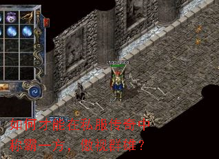 ��β�����˽�������гư�һ��������Ⱥ�ۣ�