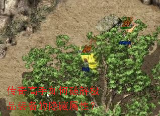 �����������ƽ⼫Ʒװ�����������ԣ�