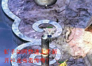 ������ο��������¿������ϻ����棿