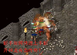 ������ο��������¿������ϻ����棿