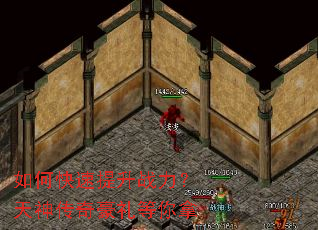 ��ο�������ս������������������