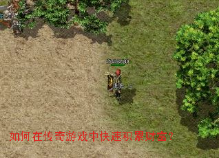 ����ڴ�����Ϸ�п��ٻ��۲Ƹ���