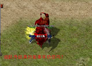 �������������°빦����