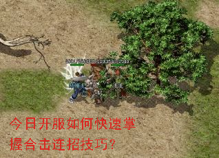 ���տ�����ο������պϻ����м��ɣ�