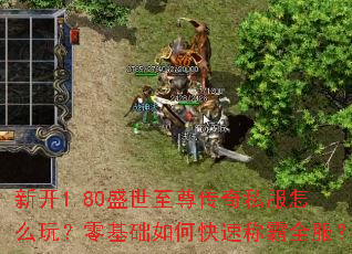 �¿�1.80ʢ��������˽����ô�棿�������ο��ٳư�ȫ����