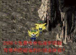 2888����Ѵ���˽�����ɰ�����Щ���ظ����Ͷ������飿