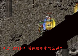 ��֮ӡƮ��������������ô����