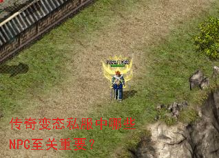 �����̬˽������ЩNPC������Ҫ��