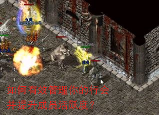 如何有效管理你的行会并提升成员活跃度? 如何有效管理你的行会并提升成员活跃度?