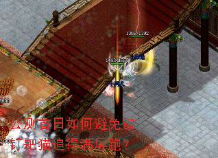 公测首日如何避免被钉耙猫追得满屏跑? 公测首日如何避免被钉耙猫追得满屏跑?