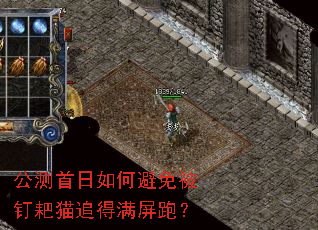公测首日如何避免被钉耙猫追得满屏跑? 公测首日如何避免被钉耙猫追得满屏跑?