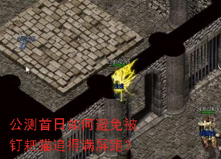 公测首日如何避免被钉耙猫追得满屏跑? 公测首日如何避免被钉耙猫追得满屏跑?
