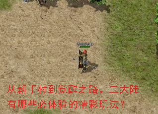从新手村到觉醒之路,二大陆有哪些必体验的精彩玩法? 从新手村到觉醒之路,二大陆有哪些必体验的精彩玩法?