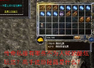 传奇私服有哪些不为人知的酷炫玩法?高手进阶秘籍是什么? 传奇私服有哪些不为人知的酷炫玩法?高手进阶秘籍是什么?