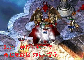 8L尊主亲授?热血传奇私服终极攻略大揭秘 8L尊主亲授?热血传奇私服终极攻略大揭秘