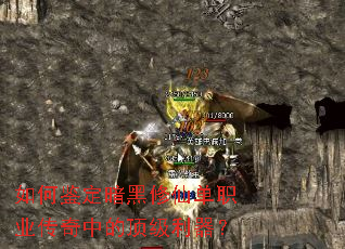 如何鉴定暗黑修仙单职业传奇中的顶级利器? 如何鉴定暗黑修仙单职业传奇中的顶级利器?