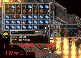 传奇三大职业技能如何才能全面发挥极致? 传奇三大职业技能如何才能全面发挥极致?