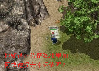 你知道在传奇私服里如何快速提升幸运值吗? 你知道在传奇私服里如何快速提升幸运值吗?