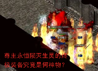 尊主永恒陨灭生灵的终极装备究竟是何神物? 尊主永恒陨灭生灵的终极装备究竟是何神物?