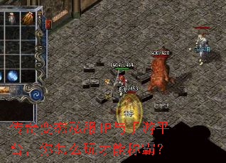 �����̬˽��IP������ƽ̨������ô����ܳưԣ�