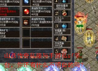 山西传奇私服与手游私sf平台,你还有什么不明白的吗? 山西传奇私服与手游私sf平台,你还有什么不明白的吗?