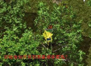 回城卷如何获取哪里爆率最高? 回城卷如何获取哪里爆率最高?