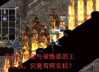 ��ʦ��͵Ϯ�뱻͵Ϯ������֮ѡ�������к�������
