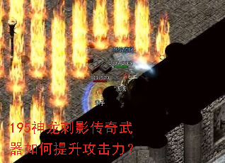 195神龙刺影传奇武器如何提升攻击力? 195神龙刺影传奇武器如何提升攻击力?