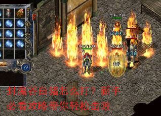 封魔谷白猪怎么打?新手必看攻略带你轻松击败 封魔谷白猪怎么打?新手必看攻略带你轻松击败