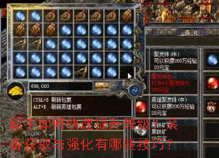 新手如何快速提升等级?装备获取与强化有哪些技巧? 新手如何快速提升等级?装备获取与强化有哪些技巧?