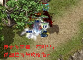 传奇多钩猫王在哪里?详细位置与攻略指南 传奇多钩猫王在哪里?详细位置与攻略指南