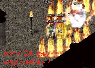 Ϊʲô��ʦ��������ٶ���˾��ˣ�