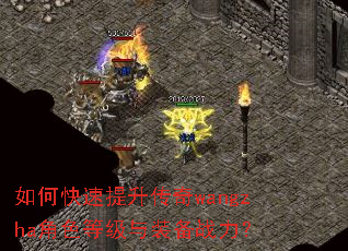 ��ο�����������wangzha��ɫ�ȼ���װ��ս����