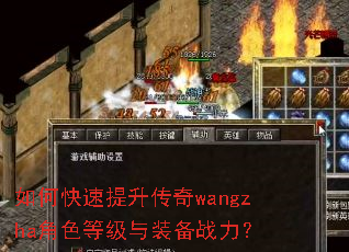 ��ο�����������wangzha��ɫ�ȼ���װ��ս����