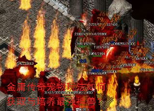 ��ӹ��������淨��λ�ȡ��������ǿ���ޣ�