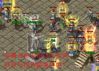 ��ӹ��������淨��λ�ȡ��������ǿ���ޣ�
