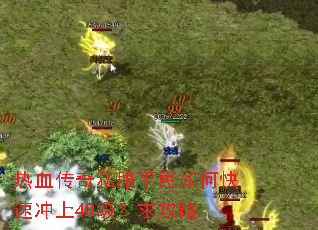 热血传奇私服平民如何快速冲上40级?求攻略 热血传奇私服平民如何快速冲上40级?求攻略