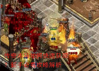 传奇木马如何快速获取?新手必看攻略解析 传奇木马如何快速获取?新手必看攻略解析