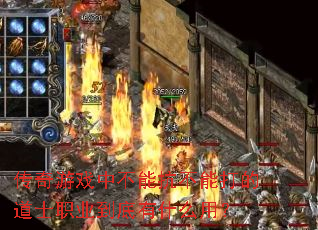 传奇游戏中不能抗不能打的道士职业到底有什么用? 传奇游戏中不能抗不能打的道士职业到底有什么用?