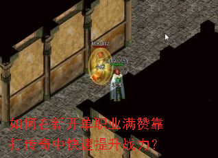 如何在新开单职业满赞靠打传奇中快速提升战力? 如何在新开单职业满赞靠打传奇中快速提升战力?